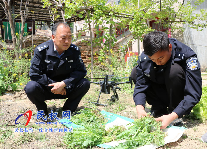 無人機(jī)撒下“天網(wǎng)” 毒罌粟無處遁形