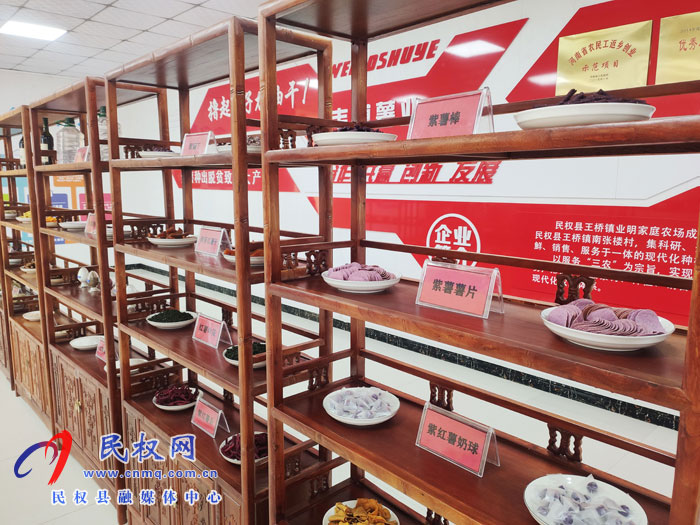 王橋鎮(zhèn):小小紅薯苗育出致富大產(chǎn)業(yè) 王橋鎮(zhèn):小小紅薯苗育出致富大產(chǎn)業(yè)