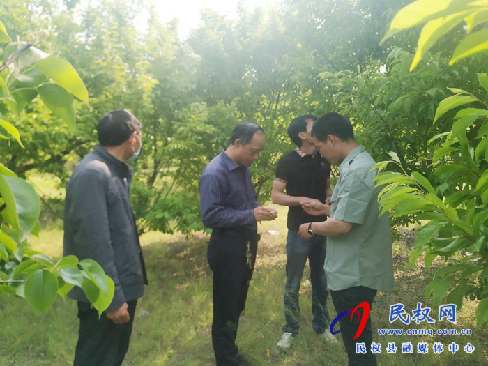 縣園藝站技術(shù)人員下鄉(xiāng)開展技術(shù)服務(wù)指導(dǎo)果樹春夏管理 縣園藝站技術(shù)人員下鄉(xiāng)開展技術(shù)服務(wù)指導(dǎo)果樹春夏管理
