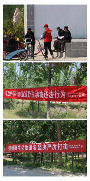 縣林業(yè)發(fā)展服務(wù)中心積極開(kāi)展野生動(dòng)物保護(hù)宣傳活動(dòng) 縣林業(yè)發(fā)展服務(wù)中心積極開(kāi)展野生動(dòng)物保護(hù)宣傳活動(dòng)