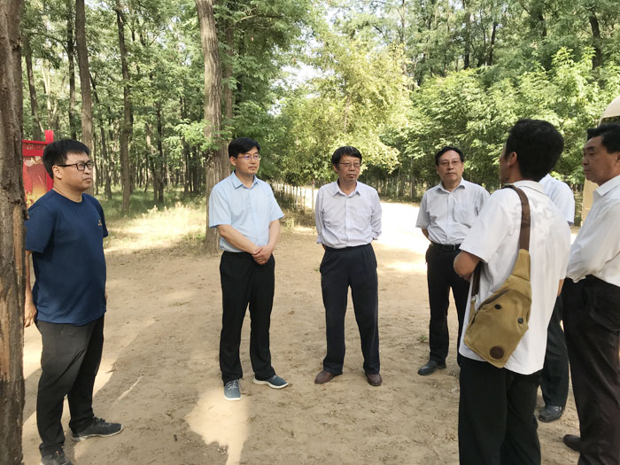 省專家組蒞民檢查創(chuàng)建省級森林城市工作 省專家組蒞民檢查創(chuàng)建省級森林城市工作