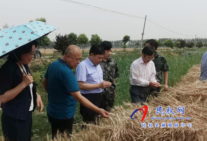 省國調隊到我縣調研夏糧生產等工作開展情況 省國調隊到我縣調研夏糧生產等工作開展情況