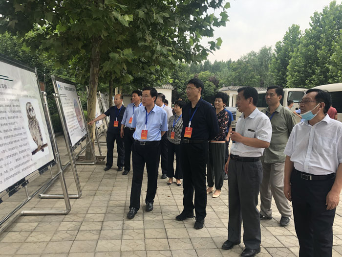 市人大執(zhí)法檢查組到我縣開展野生動物保護 “一法一決定”執(zhí)法檢查 市人大執(zhí)法檢查組到我縣開展野生動物保護 “一法一決定”執(zhí)法檢查