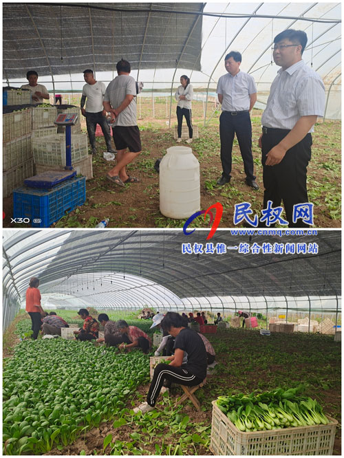 老顏集鄉(xiāng):“百業(yè)園”讓貧困群眾奔向“致富樂園” 老顏集鄉(xiāng):“百業(yè)園”讓貧困群眾奔向“致富樂園”