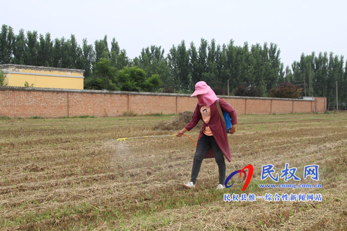褚廟鄉(xiāng):抓住有利時(shí)機(jī) 掀起秋苗管理 褚廟鄉(xiāng):抓住有利時(shí)機(jī) 掀起秋苗管理