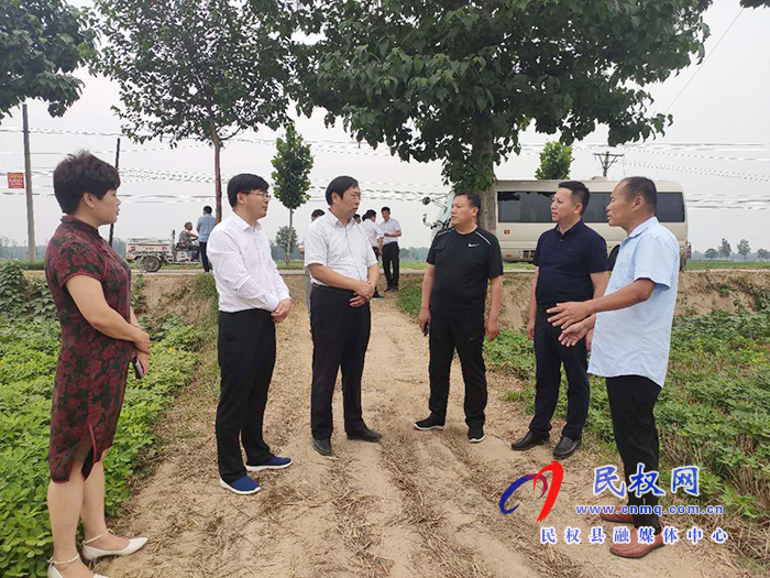 省農(nóng)業(yè)農(nóng)村廳黨組成員、總農(nóng)藝師王俊忠到我縣調(diào)研花生生產(chǎn)情況