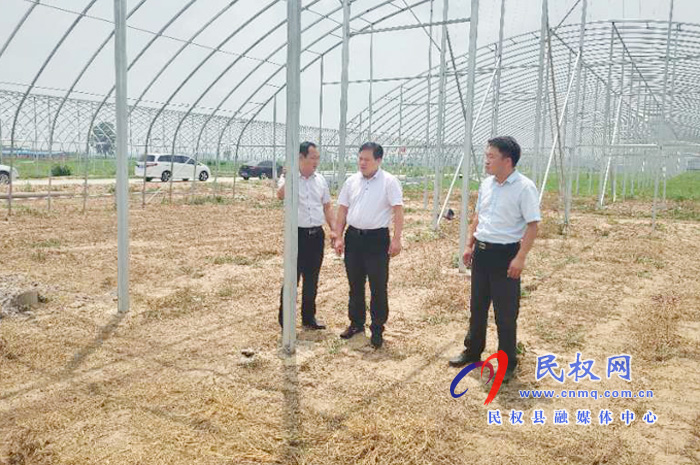 縣委常委、政法委書記、副縣長孟祥亮到雙塔鎮(zhèn)實地查看大棚種植項目建設