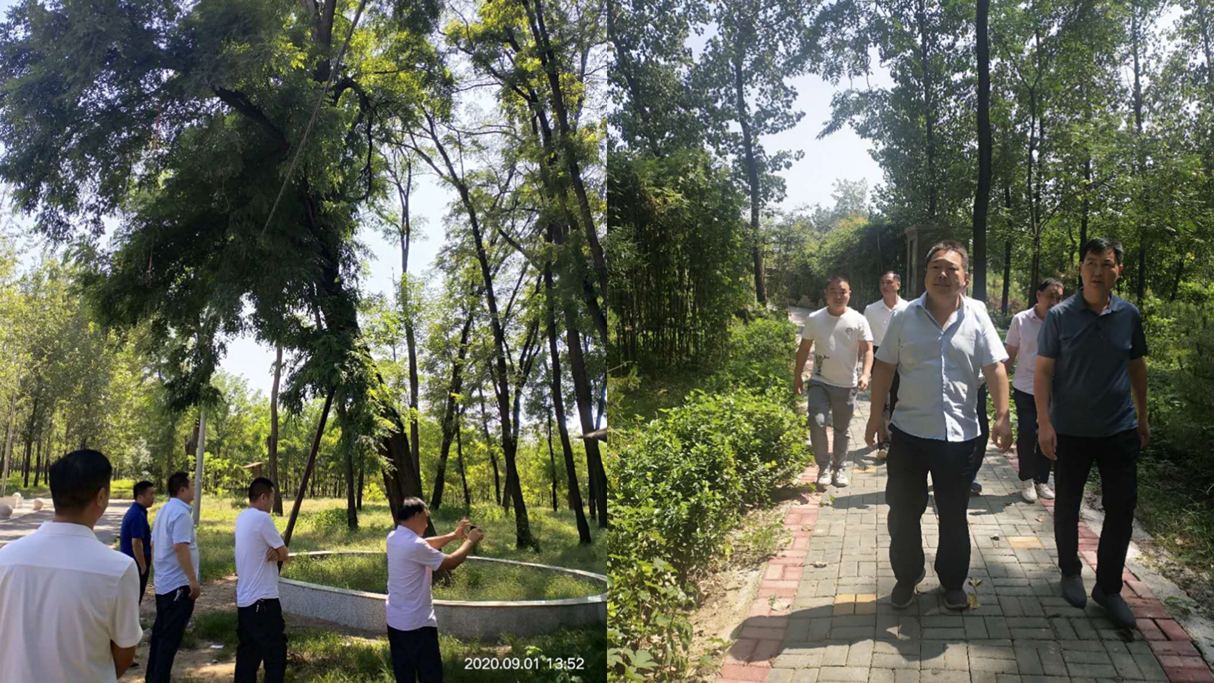 臨潁縣林業(yè)技術推廣總站站長李廣宇到我縣考察學習省級森林城市創(chuàng)建工作 臨潁縣林業(yè)技術推廣總站站長李廣宇到我縣考察學習省級森林城市創(chuàng)建工作