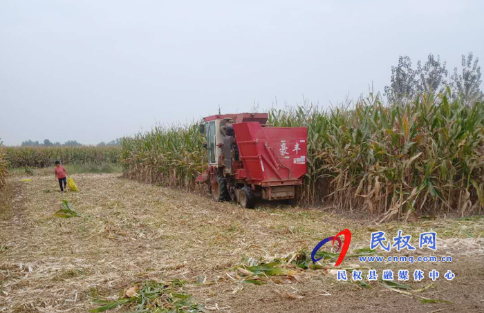 林七鄉(xiāng):讓秸稈有了“用武之地” 林七鄉(xiāng):讓秸稈有了“用武之地”