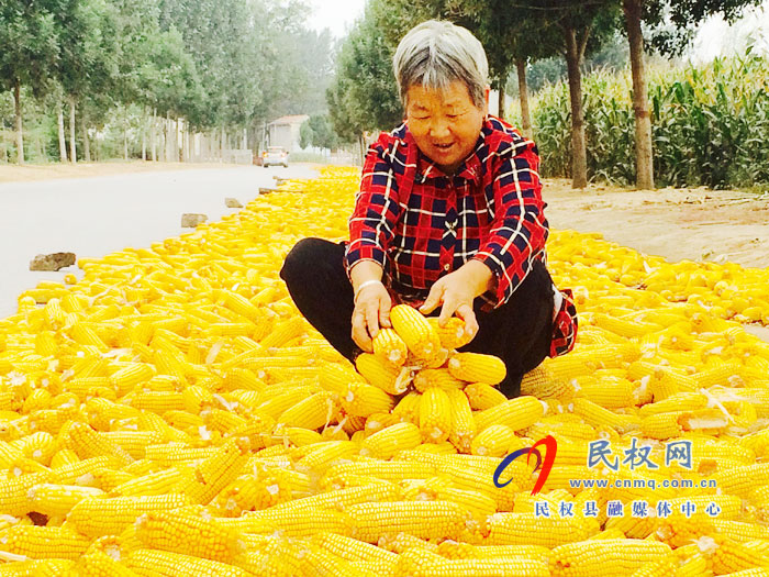 褚廟鄉(xiāng)精心組織推進(jìn)三秋生產(chǎn) 褚廟鄉(xiāng)精心組織推進(jìn)三秋生產(chǎn)
