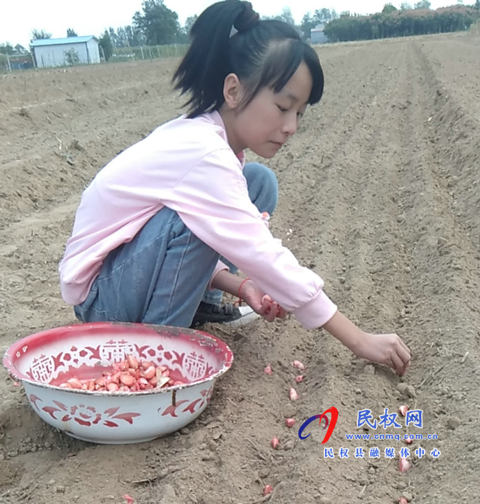 民權(quán)縣實(shí)驗(yàn)小學(xué)開(kāi)展“我是勞動(dòng)小能手”勞動(dòng)體驗(yàn)活動(dòng) 民權(quán)縣實(shí)驗(yàn)小學(xué)開(kāi)展“我是勞動(dòng)小能手”勞動(dòng)體驗(yàn)活動(dòng)
