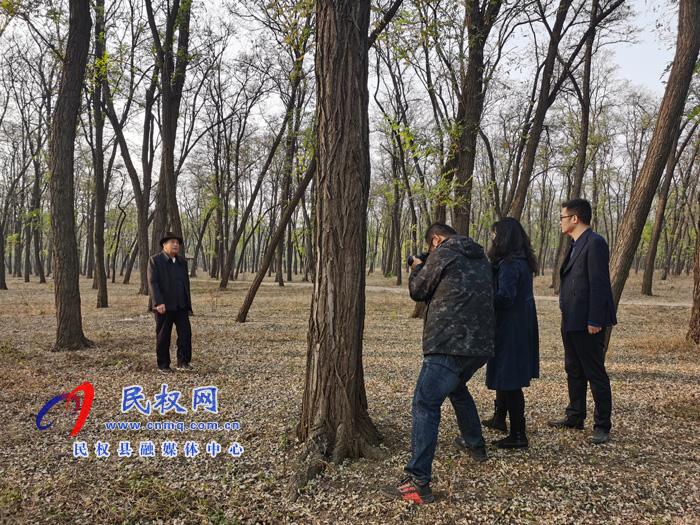 新華社河南分社社長王丁一行蒞臨我縣開展采風(fēng)活動 新華社河南分社社長王丁一行蒞臨我縣開展采風(fēng)活動