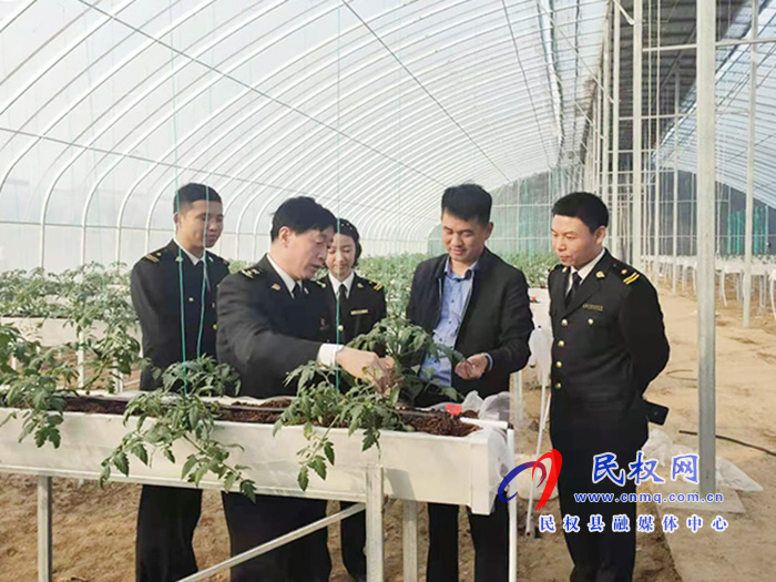 縣委常委、副縣長房季到雙塔鎮(zhèn)蘆筍大棚產(chǎn)業(yè)園調(diào)研產(chǎn)業(yè)發(fā)展