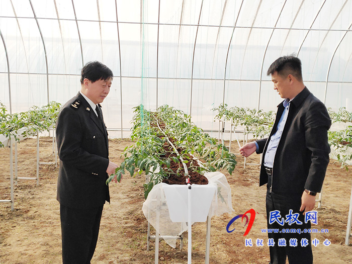 縣委常委、副縣長房季到雙塔鎮(zhèn)蘆筍大棚產(chǎn)業(yè)園調(diào)研產(chǎn)業(yè)發(fā)展