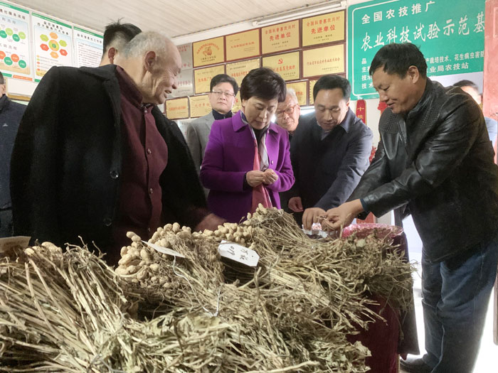市委副書記陳向平到我縣調(diào)研花生產(chǎn)業(yè)和高科技示范園發(fā)展情況 市委副書記陳向平到我縣調(diào)研花生產(chǎn)業(yè)和高科技示范園發(fā)展情況