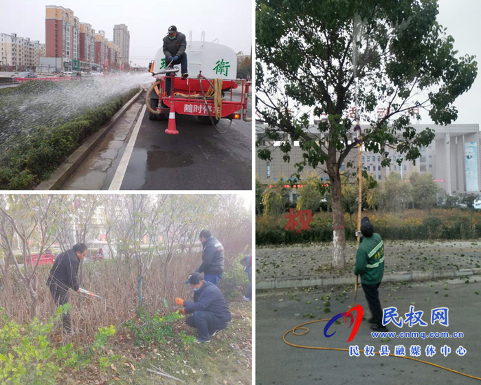 縣園林綠化中心扎實做好冬季綠化苗木養(yǎng)護管理工作 縣園林綠化中心扎實做好冬季綠化苗木養(yǎng)護管理工作