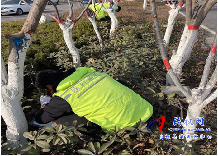 城管局路燈所：喜迎新春佳節(jié)，景觀亮化先行