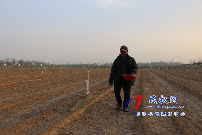 白云寺鎮(zhèn):香蔥基地人備忙 白云寺鎮(zhèn):香蔥基地人備忙