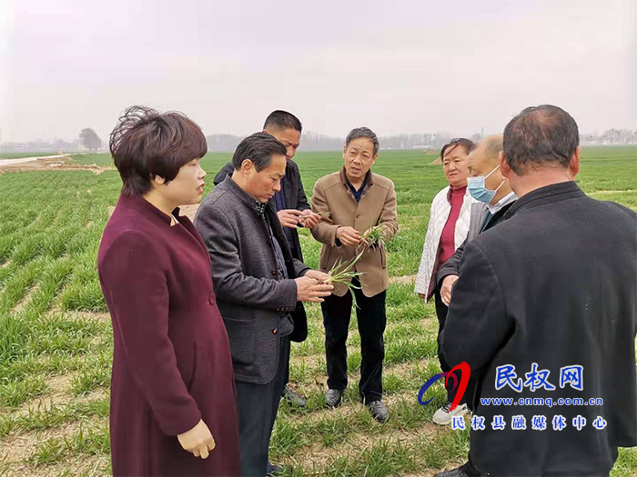 莊子鎮(zhèn)舉辦優(yōu)質(zhì)專用小麥生產(chǎn)基地項(xiàng)目技術(shù)培訓(xùn)會(huì) 莊子鎮(zhèn)舉辦優(yōu)質(zhì)專用小麥生產(chǎn)基地項(xiàng)目技術(shù)培訓(xùn)會(huì)