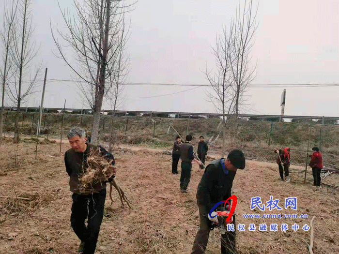 雙塔鎮(zhèn)積極開展植樹造林工作 雙塔鎮(zhèn)積極開展植樹造林工作