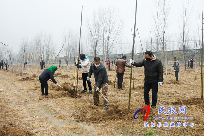 人和鎮(zhèn)組織開展義務(wù)植樹活動(dòng) 人和鎮(zhèn)組織開展義務(wù)植樹活動(dòng)