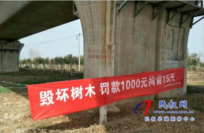 林業(yè)發(fā)展服務(wù)中心開展打擊破壞森林資源專項(xiàng)行動