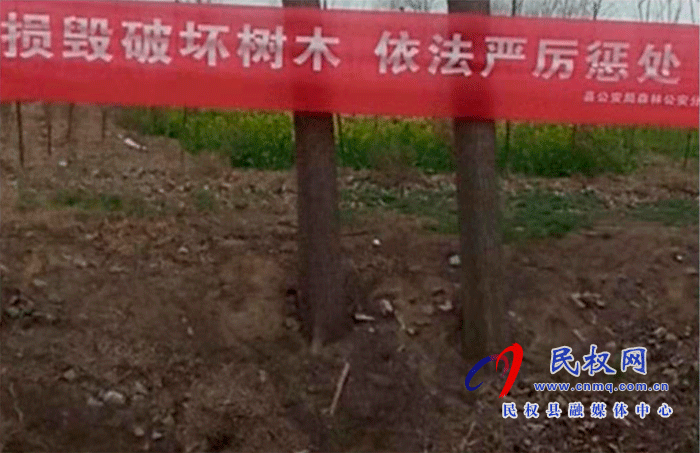 林業(yè)發(fā)展服務(wù)中心開展打擊破壞森林資源專項(xiàng)行動