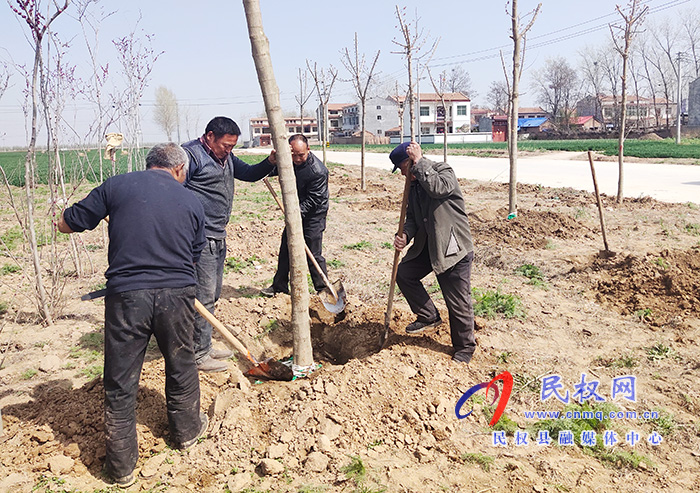 王莊寨鎮(zhèn):春季綠化促環(huán)保 攜手共建美家園 王莊寨鎮(zhèn):春季綠化促環(huán)保 攜手共建美家園