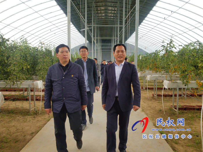 市農(nóng)業(yè)經(jīng)濟(jì)作物技術(shù)推廣中心主任張傳紅一行到雙塔鎮(zhèn)調(diào)研 市農(nóng)業(yè)經(jīng)濟(jì)作物技術(shù)推廣中心主任張傳紅一行到雙塔鎮(zhèn)調(diào)研