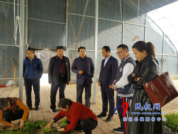 市農(nóng)業(yè)經(jīng)濟(jì)作物技術(shù)推廣中心主任張傳紅一行到雙塔鎮(zhèn)調(diào)研 市農(nóng)業(yè)經(jīng)濟(jì)作物技術(shù)推廣中心主任張傳紅一行到雙塔鎮(zhèn)調(diào)研