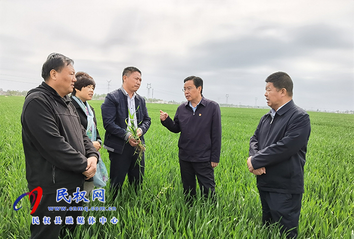 市人大常委會(huì)副主任、縣委書記姬脈常察看春季農(nóng)業(yè)生產(chǎn)及高標(biāo)準(zhǔn)糧田建設(shè)工作