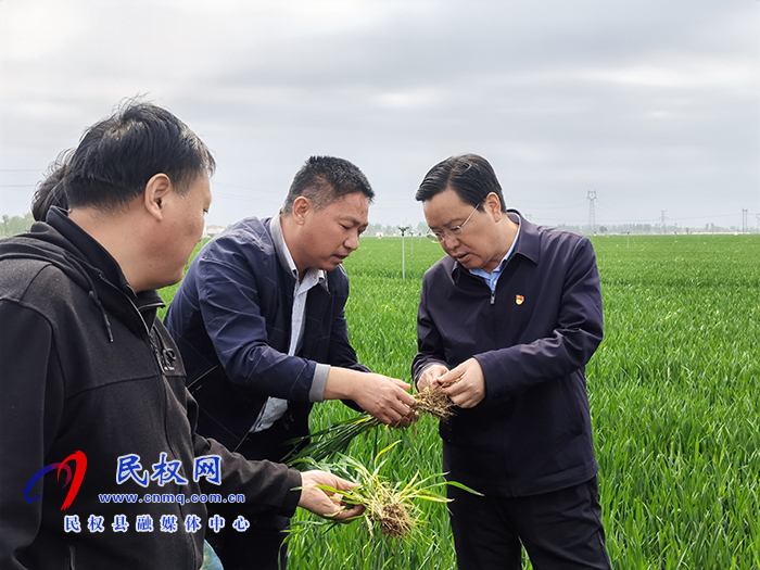 市人大常委會(huì)副主任、縣委書記姬脈常察看春季農(nóng)業(yè)生產(chǎn)及高標(biāo)準(zhǔn)糧田建設(shè)工作