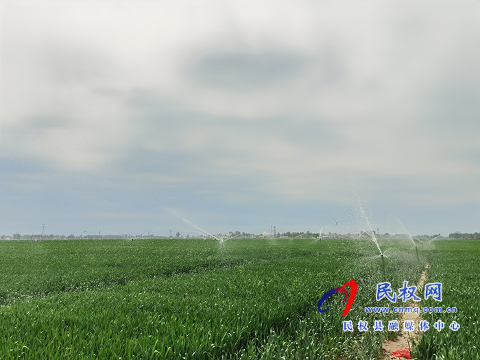 市人大常委會(huì)副主任、縣委書記姬脈常察看春季農(nóng)業(yè)生產(chǎn)及高標(biāo)準(zhǔn)糧田建設(shè)工作