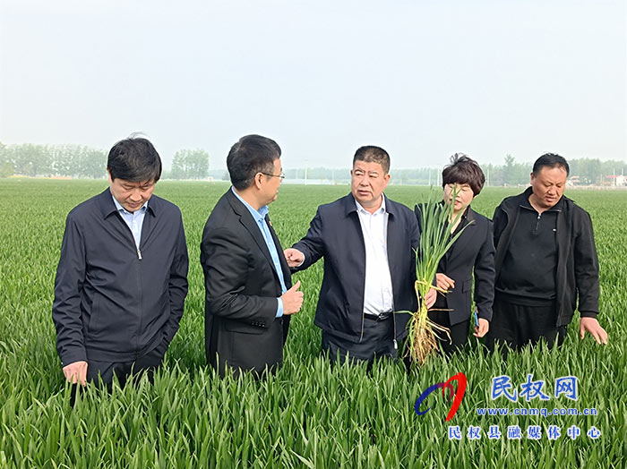 全縣小麥“兩病一寒”防治現(xiàn)場(chǎng)會(huì)及人居環(huán)境整治提升推進(jìn)會(huì)召開(kāi) 全縣小麥“兩病一寒”防治現(xiàn)場(chǎng)會(huì)及人居環(huán)境整治提升推進(jìn)會(huì)召開(kāi)