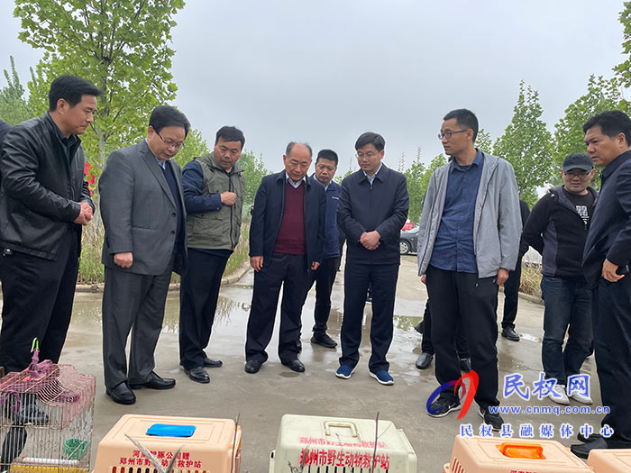河南省2021年“愛鳥周”活動啟動儀式暨民權現場會在民舉行 河南省2021年“愛鳥周”活動啟動儀式暨民權現場會在民舉行