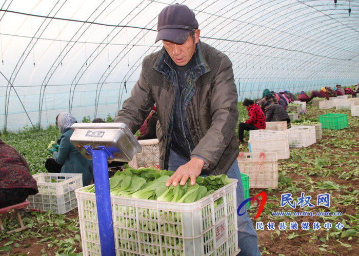 褚廟鄉(xiāng)“五個(gè)聚焦”促進(jìn)返鄉(xiāng)創(chuàng)業(yè)就業(yè) 褚廟鄉(xiāng)“五個(gè)聚焦”促進(jìn)返鄉(xiāng)創(chuàng)業(yè)就業(yè)