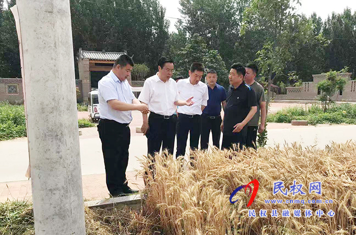 市人大常委會(huì)副主任、縣委書(shū)記姬脈常到我縣部分鄉(xiāng)鎮(zhèn)查看“三夏”生產(chǎn)工作