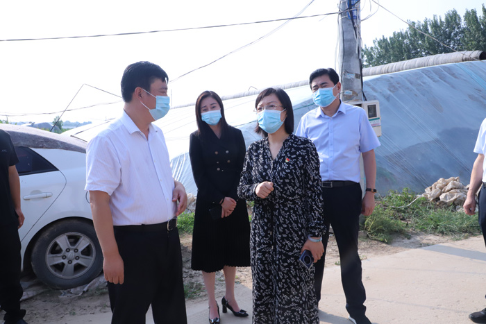 市政府副秘書長閆全偉到我縣查看疫情防控工作情況 市政府副秘書長閆全偉到我縣查看疫情防控工作情況