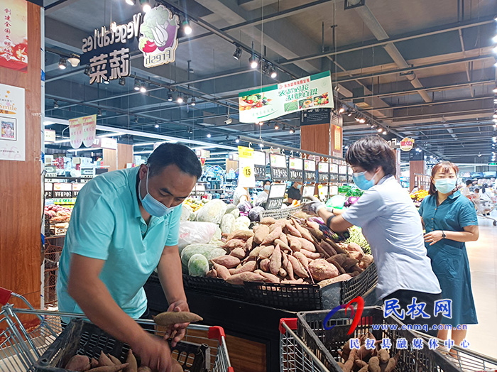 民權(quán):紅薯滯銷菜農(nóng)愁?愛心企業(yè)來解憂 民權(quán):紅薯滯銷菜農(nóng)愁?愛心企業(yè)來解憂
