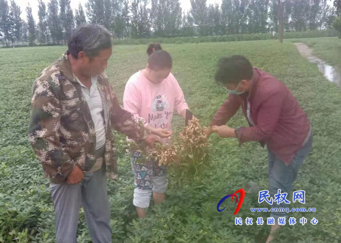 雙塔鎮(zhèn):做好秋作物雨后田間管理工作 雙塔鎮(zhèn):做好秋作物雨后田間管理工作