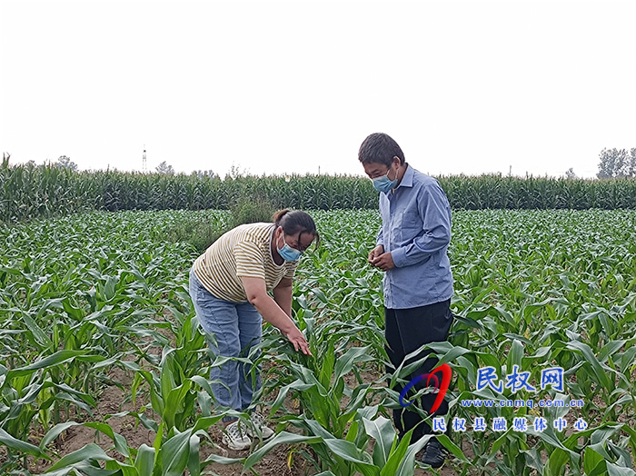 草地貪夜蛾入侵 我縣農(nóng)業(yè)部門緊急行動組織防控?? 草地貪夜蛾入侵 我縣農(nóng)業(yè)部門緊急行動組織防控??