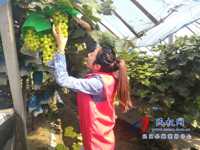 胡集鄉(xiāng)財(cái)政所:活躍田間服務(wù)“三秋” 胡集鄉(xiāng)財(cái)政所:活躍田間服務(wù)“三秋”