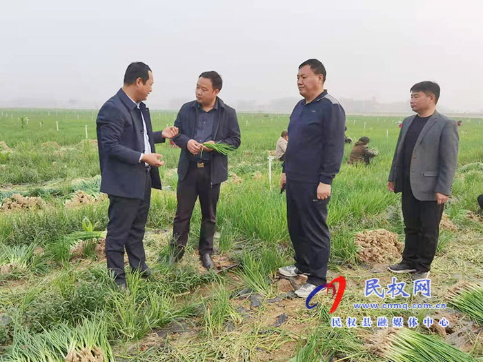 副縣長李衛(wèi)政到白云寺鎮(zhèn)調(diào)研土地流轉(zhuǎn)和高標(biāo)準(zhǔn)良田建設(shè)工作