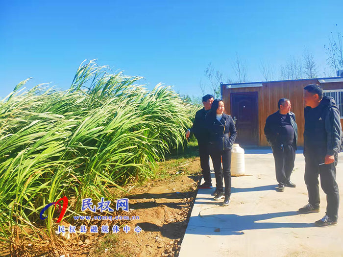 副縣長朱琳到老顏集鄉(xiāng)調(diào)研撤村并居、產(chǎn)業(yè)發(fā)展等工作