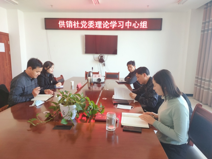 縣黨史學習教育巡回指導組到供銷社嚴督實導