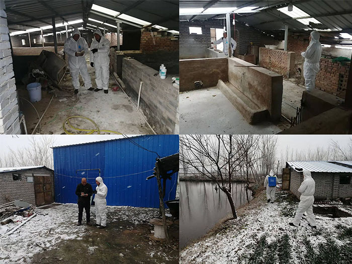 縣畜牧發(fā)展服務中心積極應對雨雪寒潮天氣