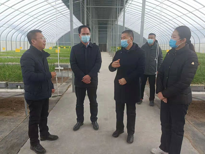 市農(nóng)業(yè)農(nóng)村局二級巡視員孟偉到民調(diào)研農(nóng)業(yè)農(nóng)村重點(diǎn)工作
