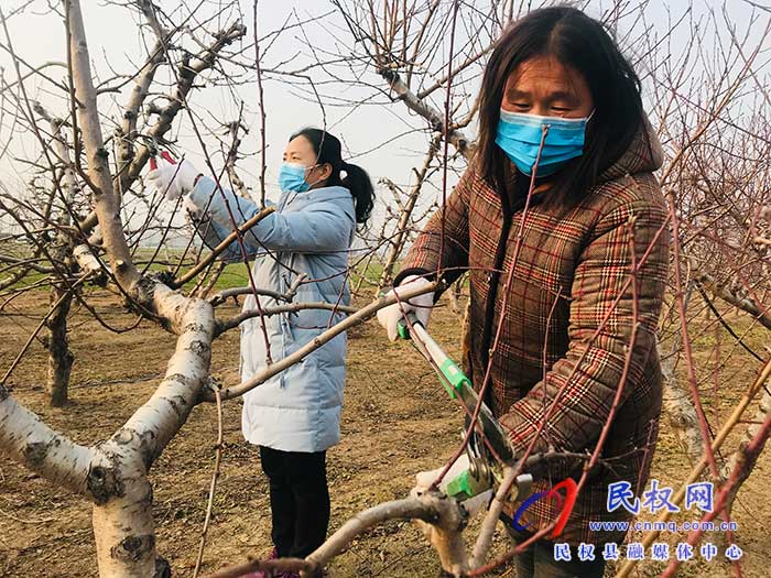 孫六鎮(zhèn)：打好“組合拳”，護航春耕生產
