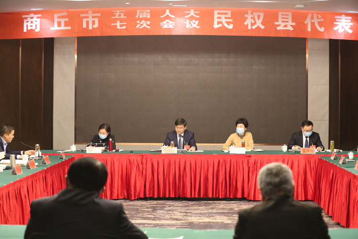 民權(quán)縣代表團認真審議討論市政府工作報告等報告
