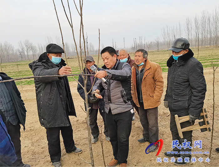 園藝站緊抓果樹春節(jié)管理 力爭(zhēng)奪取全年果品豐產(chǎn)豐收